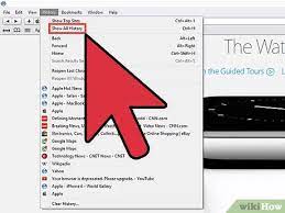 Keep reading to find out if there is no backup of your deleted safari history, fonegeek. 4 Ways To Clear History In Safari Wikihow