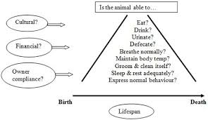 advances in the delivery of practical nursing care