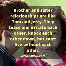 A sister is a blossoming flower in the garden of life. Fighting Brother And Sister Funny Quotes Daily Quotes