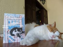 Moonlightcat13 Giden Bir Kedinin Ardindan Ferit Edgu Kedi Kitap