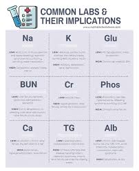 Common Clinical Nutrition Labs Nutrition Cheat Sheets In 2020 Clinic Nutrition Holistic Nutrition