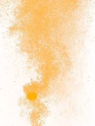 I shocked our shallow dug well after reading some suggestions on the net. Citrisil Waterline Cleaning Tablets Citrisil Shock Tablets Sterisil