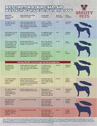 Infographic A System For Measuring Canine Body Fat The