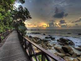 The white sandy beach and casuarinas and pine trees line the coast. Teluk Cempedak Swiss Belhotel Kuantan