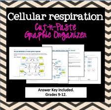 Pin On Science For Secondary Grades Biology Chemistry Physics And More