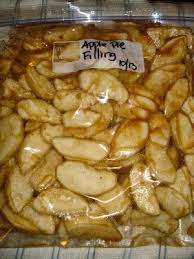 I Have Or Had A Ton Of Apples I Love Apple Pie But Don T Have The Pie Plates To Store The Pies I Filling Recipes Apple Pies Filling Apple Pie Filling