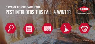 If you are having trouble getting rid of anything from rats to roaches, feel free to look here for advice. 5 Ways To Prepare For Pest Intruders This Fall And Winter