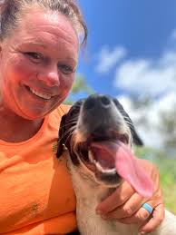 This dog has been let down by humans too many times! He urgently needs a  foster or adopter! 🐶💕