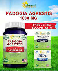 Image result for Fadogia