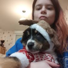 Promener des chiens à Mitry-Mory BÉNÉVOLES ⋆ Passionnés et assurés ⋆  Emprunte Mon Toutou