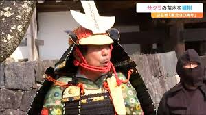 最新グラビアと記事満載