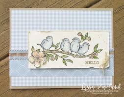 June Bird Of The Month June 2019 Class Of The Month Club Is Here Free As A Bird Bee Cards Hello Cards Stamped Cards