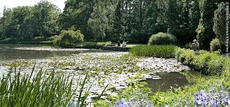 #75yearsofbam bamberg symphony is an extraordinary orchestra in an extraordinary city. Burgerpark Bamberger Hain Regnitzradweg
