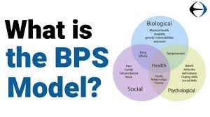 Oct 30, 2015 · within psychology, some have argued that the biopsychosocial framework provides the central pathway to unify the field of professional psychology. Why Is The Biopsychosocial Bps Model The Missing Link To Long Lasting Injury Recovery Evercore Move With A Strong Healthy Body