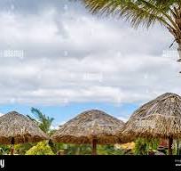 Palm thatch roofs hi-res stock photography and images - Alamy