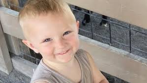 Wesley Briggs's Instagram, Twitter & Facebook