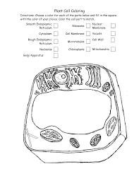 Find this pin and more on botany adventure by shelby boismier. Biology Animal Cell Coloring Key Coloring Pages For Kids