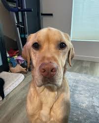 Andrea Gurule's Instagram, Twitter & Facebook