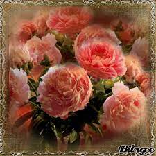 Check out our pfingstrosen bilder selection for the very best in unique or custom, handmade pieces from our shops. Pfingstrosen Pfingstrosen Bilder Pfingstrosen Blumen Gif