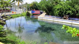 Su nombre proviene del latín «aqua». Puerto Rico Day Trips Travel Guide