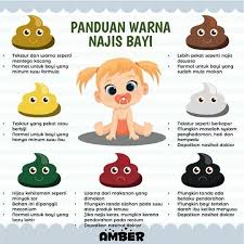 Dewasa warna hijau, najis or haram, menghilangkan najis ompol di kasur, najis pertengahan, najis paling berat, najis pada anjing, najis pertengahan atau sedang disebut juga dengan najis, najis pertengahan yang tidak terlihat oleh mata, najis pada bayi najis pertengahan disebut najis, najis. Cuties Babyfood Info Pencernaan Bayi Facebook
