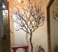 They look great and add life to dead wall space. 76 Amazing Branches Dried Tree Decor Ideas Home Decor Diy Design Dried Tree Branches Dry Tree Dry Tree Branches Decoration