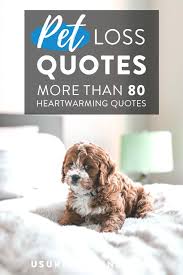 Check spelling or type a new query. Pet Loss Quotes Poems More To Honor Your Furry Friend Urns Online