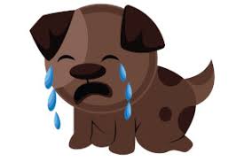 Don't put your dog in the crate if he's anxious or agitated, wait until he calms down; The Ultimate Guide To Crate Training A Puppy Dog Endorsed