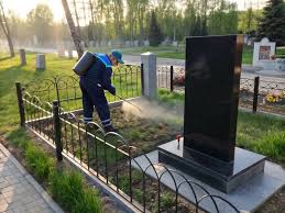 Удаление сорняков