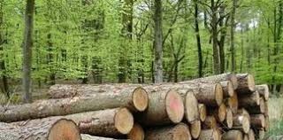 Pentru ca pereții să fie mai călduroși, trebuie să luați în considerație un mic secret. Lemne De Foc Archives Realitatea De Olt