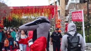 Lunar New Year Festival 2020 Uci Campus Life Youtube