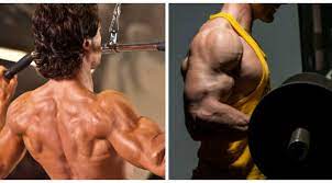 A Better Back And Biceps Workout Muscle Fitness