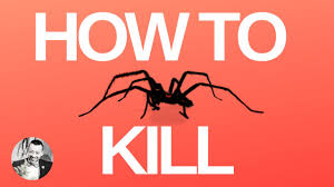 This can be accomplished by either stepping on it or. Does Bleach Kill Spiders Find Out The Facts