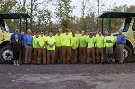Arbor care specializes in proper tree trimming, tree pruning, safe tree removal, stump grinding, monsoon storm damage. Tree Service And Shrub Care In Syracuse Ny Bartlett