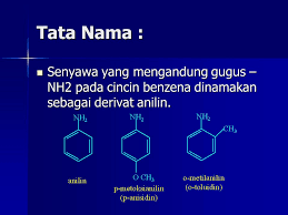 Makanan ini adalah salah satu makanan yang paling populer dikenal mengandung banyak protein. Amina Senyawa Yang Mengandung Gugus Nh2 Struktur Rnh2 Ppt Download
