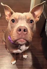 West Valley Chiropractic