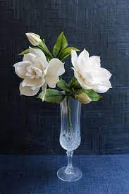Gardenias Beautiful Flowers Flower Arrangements White Flowers