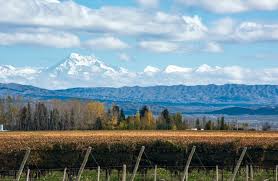 Book your tickets online for the top things to do in mendoza, argentina on tripadvisor: An Outsider S Guide To Mendoza Argentina
