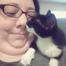 Cute cat pictures to share