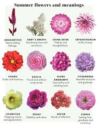 Purple and blue iris are probably some of the more common bearded varieties. 9 September Birth Flower Ideas September Birth Flower Aster Flower Birth Flowers