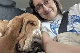 Lauren Stitt's Instagram, Twitter & Facebook