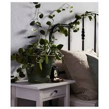 Kamomill Ubertopf Drinnen Draussen Grun Ikea Osterreich Indoor Plant Pots Potted Plants Plants