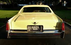 Image result for Canary Yellow 1977 Hussmann