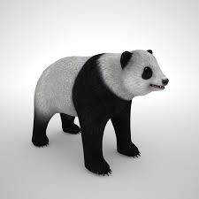 3d Model Panda Bear 3d Model Panda Bear Model