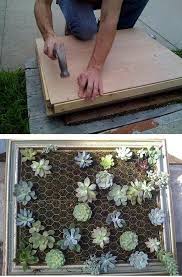 Vertikalen Garten Selber Bauen Projekte Furs Haus Zum Selbermachen Mit Bildern Vertikaler Garten Garten Pflanzen