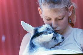 Kitsap County Fair and Stampede through the years: See historic photos