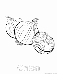 Download, print, and color turtle diary's onion coloring page for a fun activity for your students. Onion Coloring Pages Coloring Home
