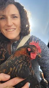 Is it uncomfortable for chicks when new feathers are coming in?