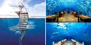 Cruise Ships Of The Future