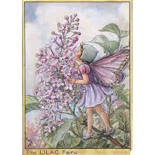 Cute lithograph children's print from cicely mary barker's flower fairies published in about 1935 in london by blackie & son. Cicely Mary Barker Lilac Flower Fairy Fantasy Art 26 00